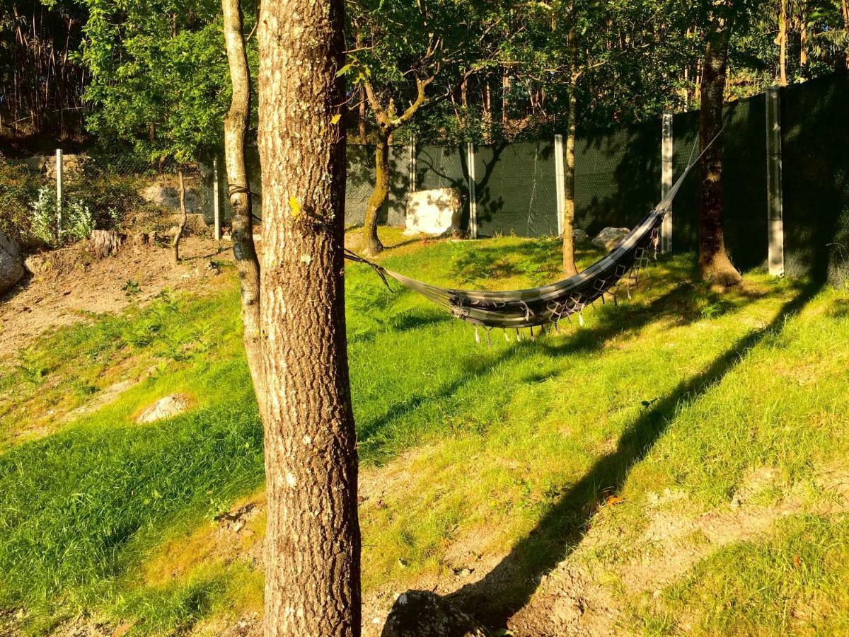 ויירה דו מיניו The Green Roof House מראה חיצוני תמונה